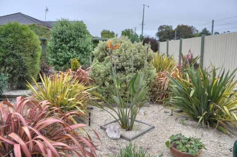 4 Turner Drive, WARRNAMBOOL VIC 3280, Warrnambool - Thumbnail 4