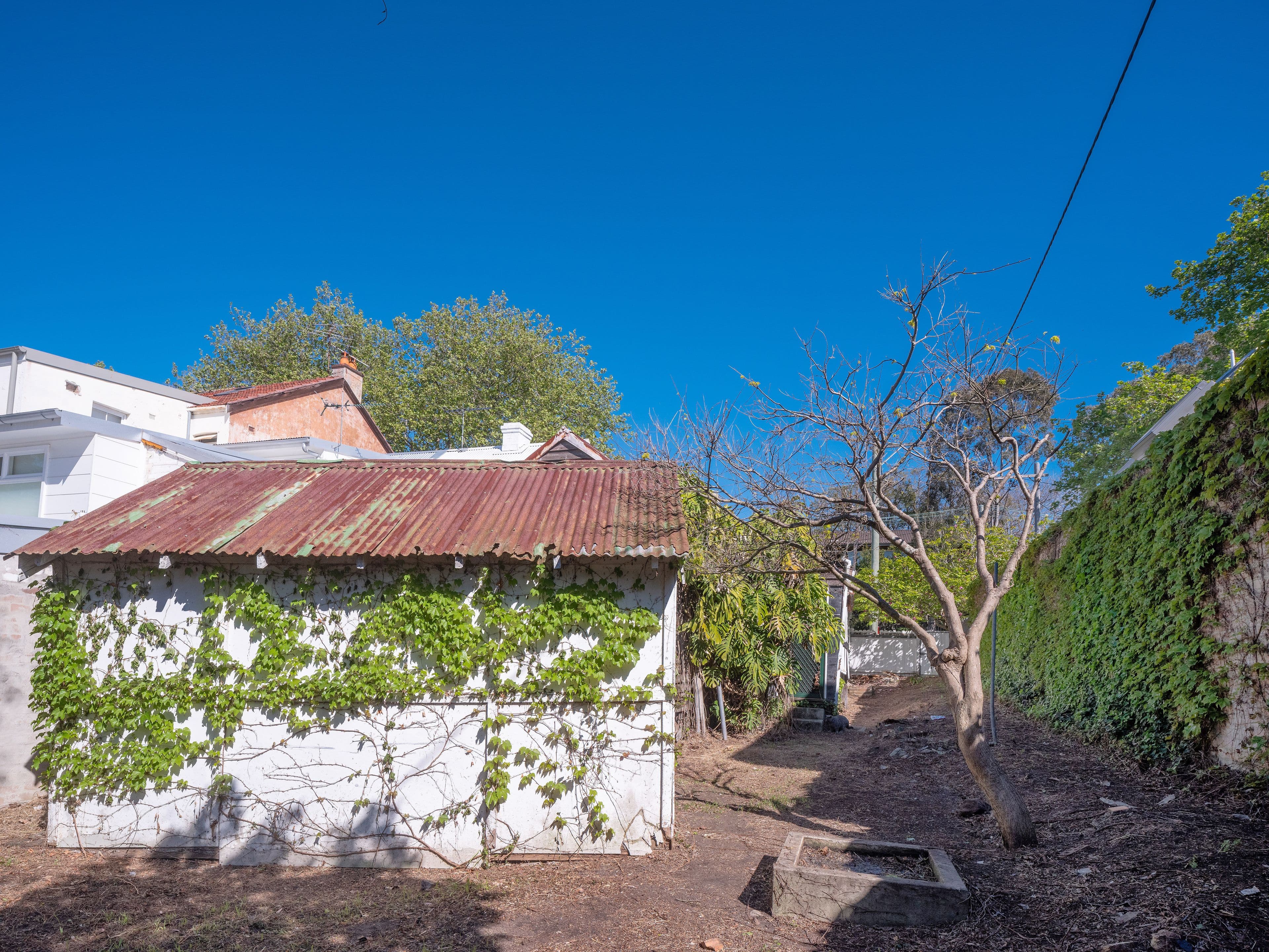 25 Trafalgar Street, Annandale - Thumbnail 5