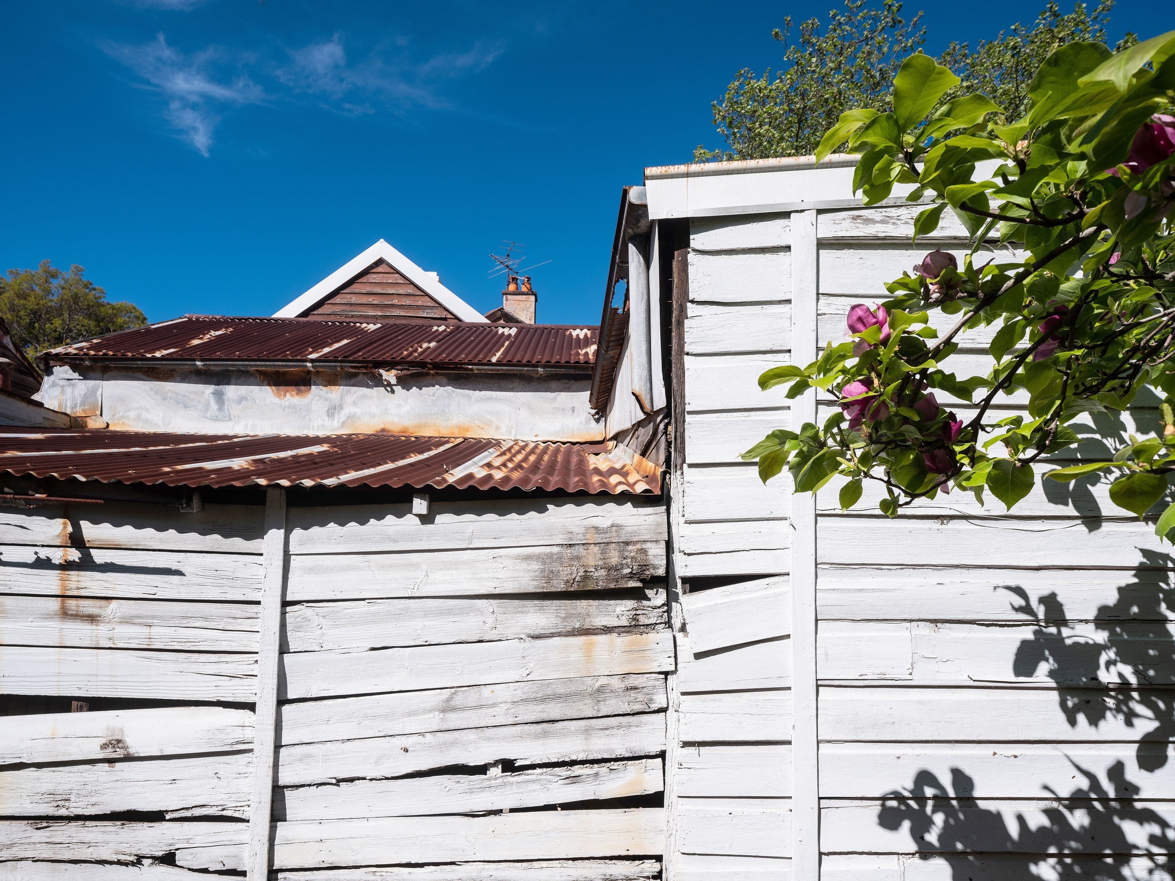25 Trafalgar Street, Annandale - Thumbnail 7