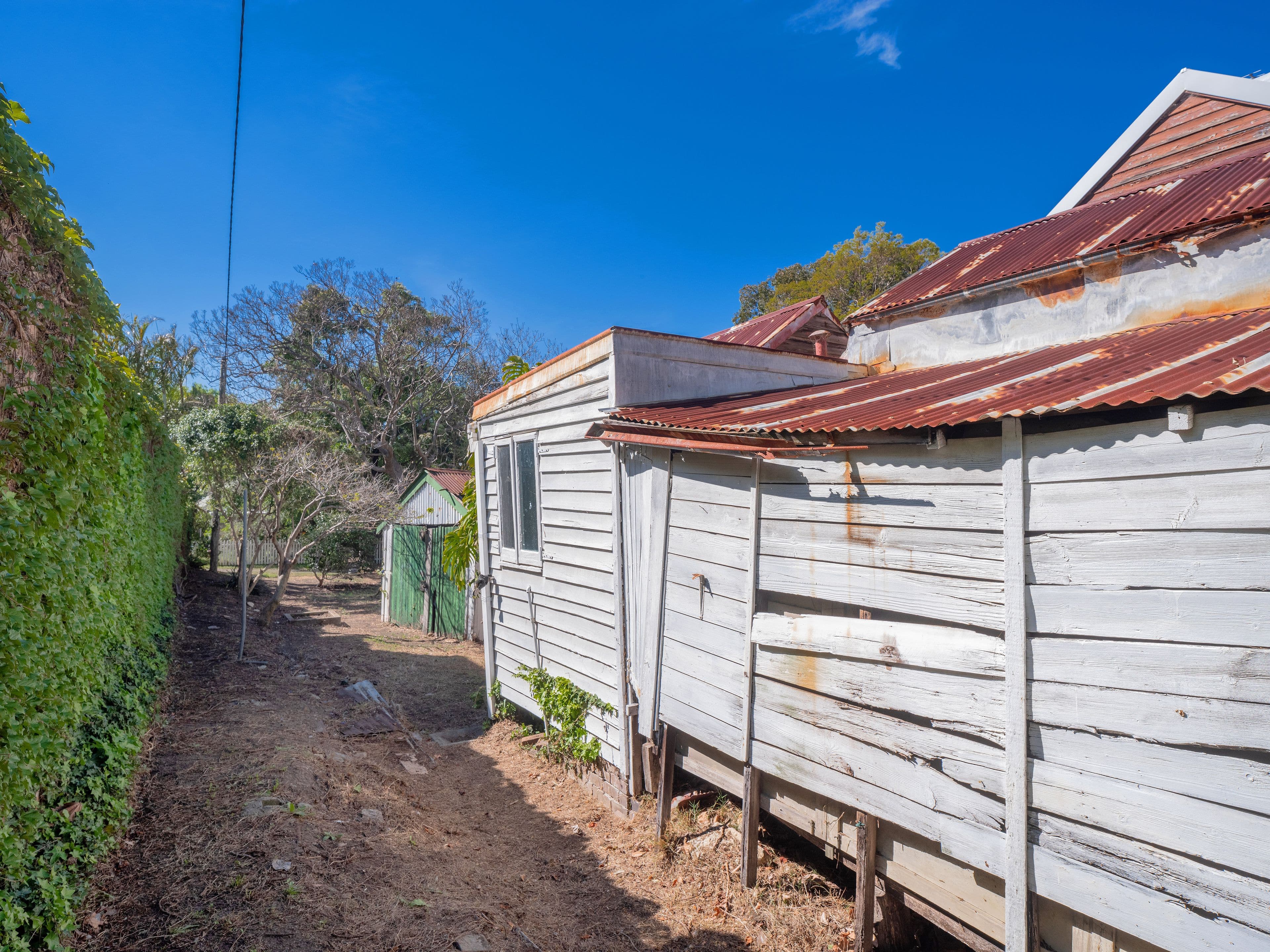 25 Trafalgar Street, Annandale - Thumbnail 8