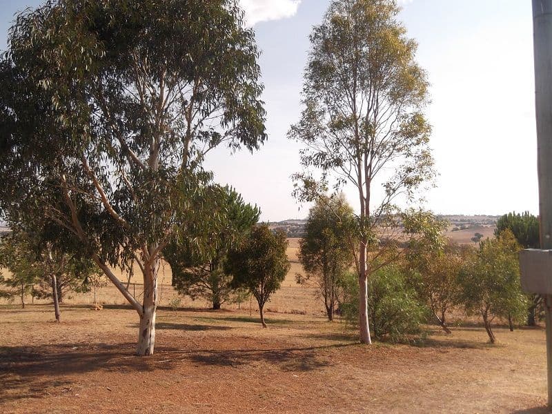 415 Elouera Road, COWRA NSW 2794, Cowra - Thumbnail 8