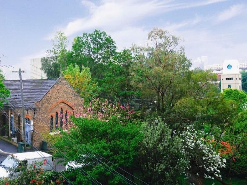 34 Wentworth Street, GLEBE NSW 2037, Glebe - Thumbnail 3