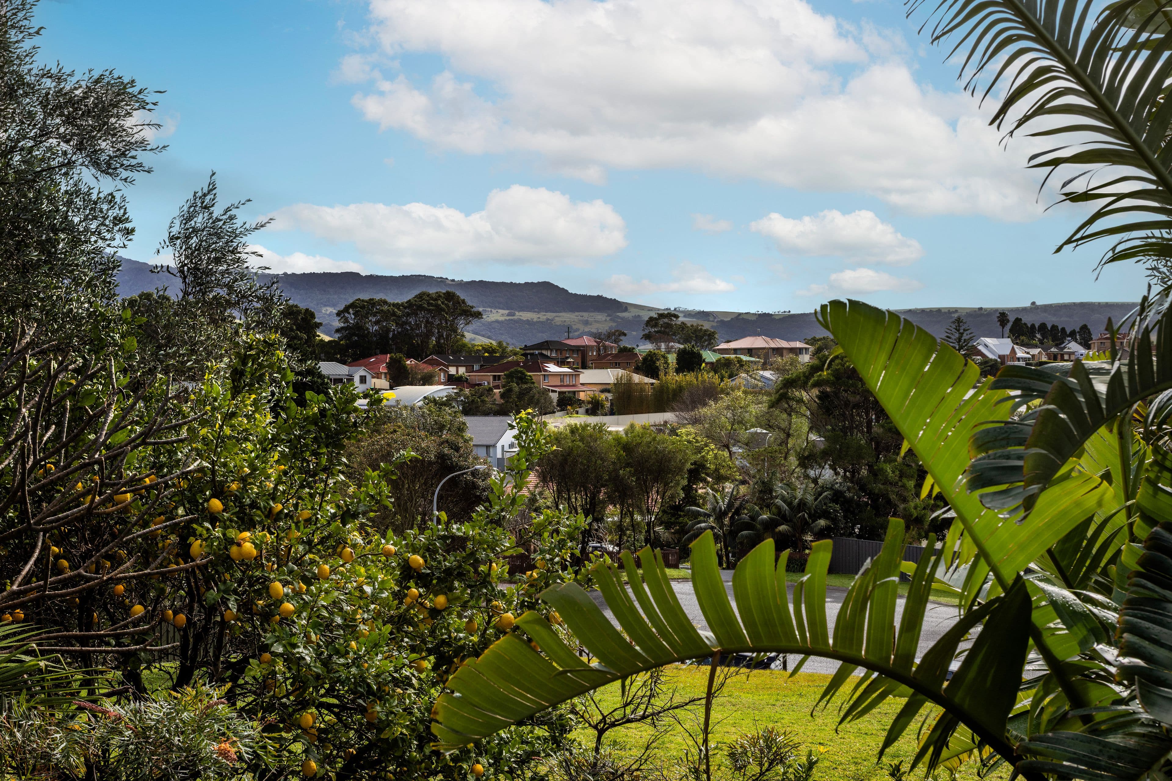 20 Henry Lee Drive, Gerringong NSW 2534, Gerringong - Thumbnail 2