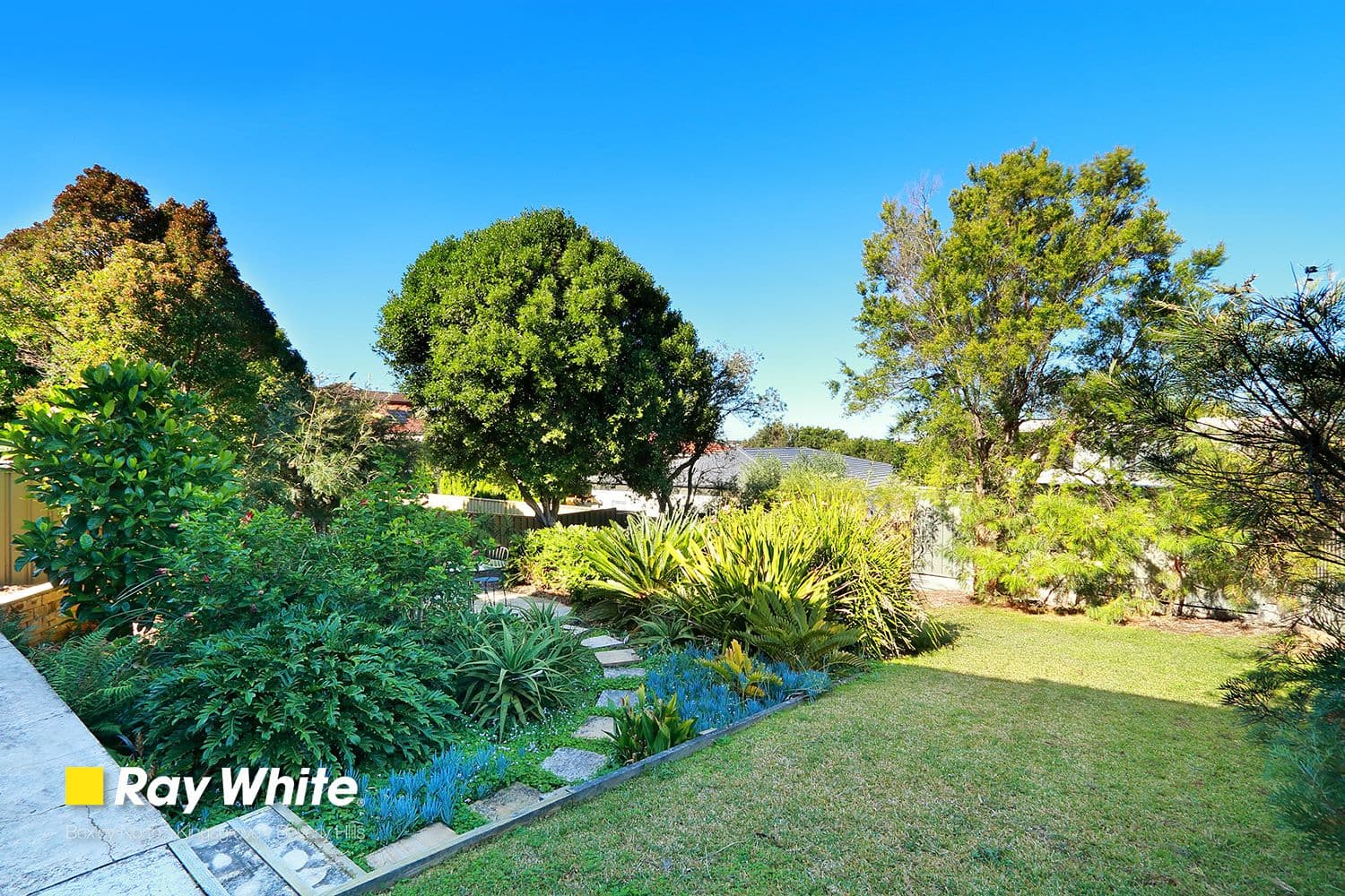604 Homer Street, Kingsgrove NSW 2208, Kingsgrove - Thumbnail 3