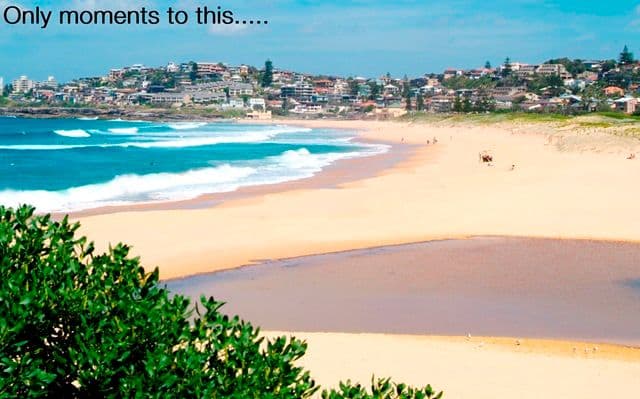 34 Jocelyn Street, NORTH CURL CURL NSW 2099, North Curl Curl - Thumbnail 4
