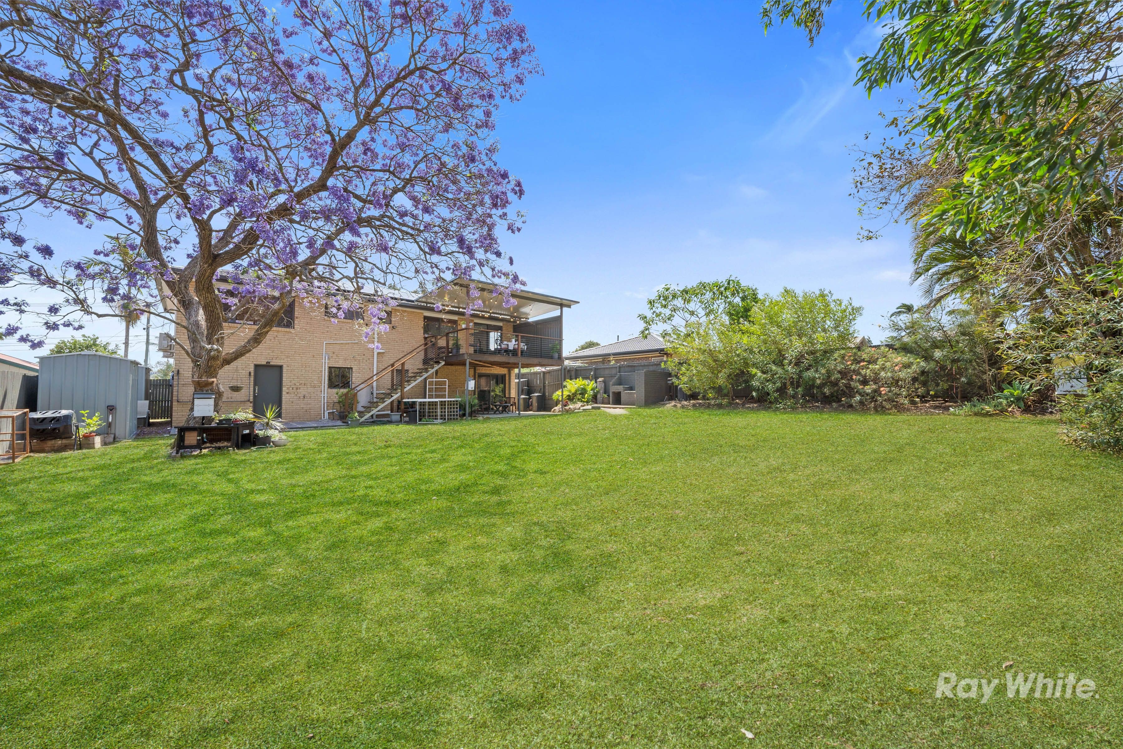 7 Jilbard Drive, Springwood QLD 4127, Springwood - Thumbnail 5
