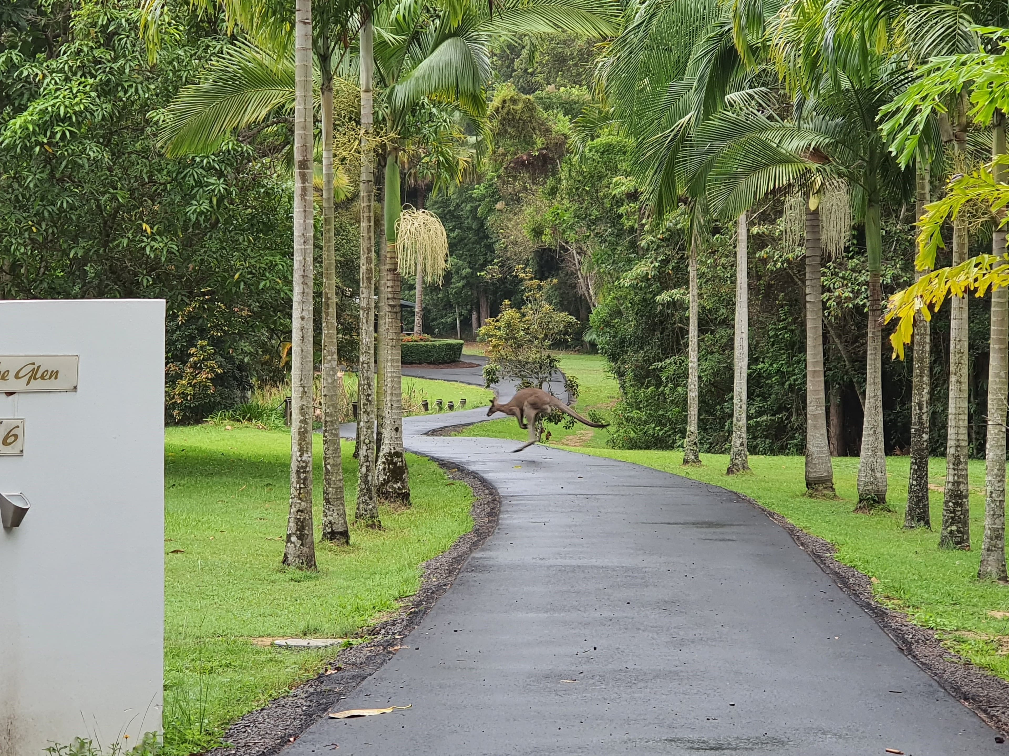 6 Sawreys Road, Forest Glen QLD 4556, Forest Glen - Image 1