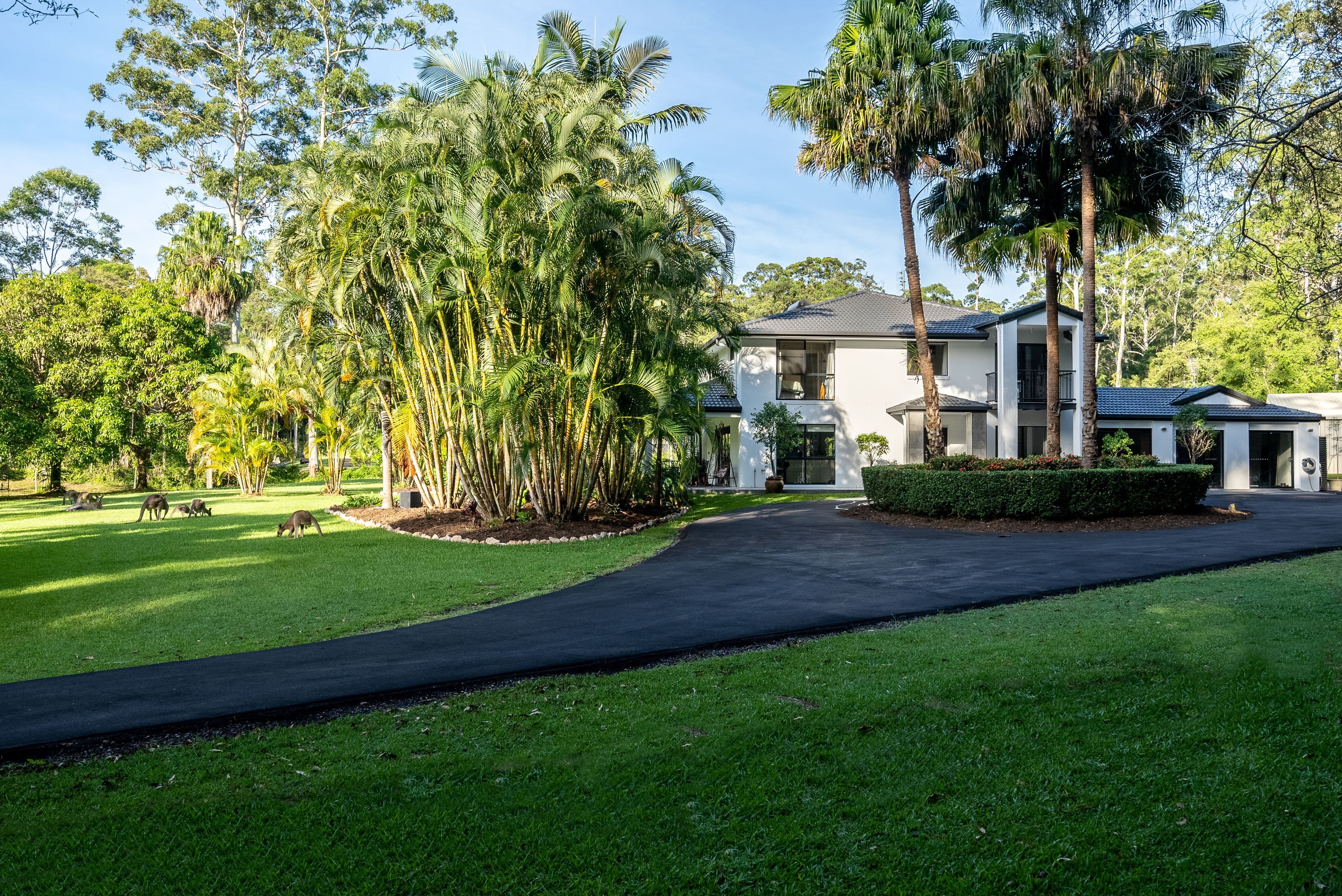 6 Sawreys Road, Forest Glen QLD 4556, Forest Glen - Thumbnail 3