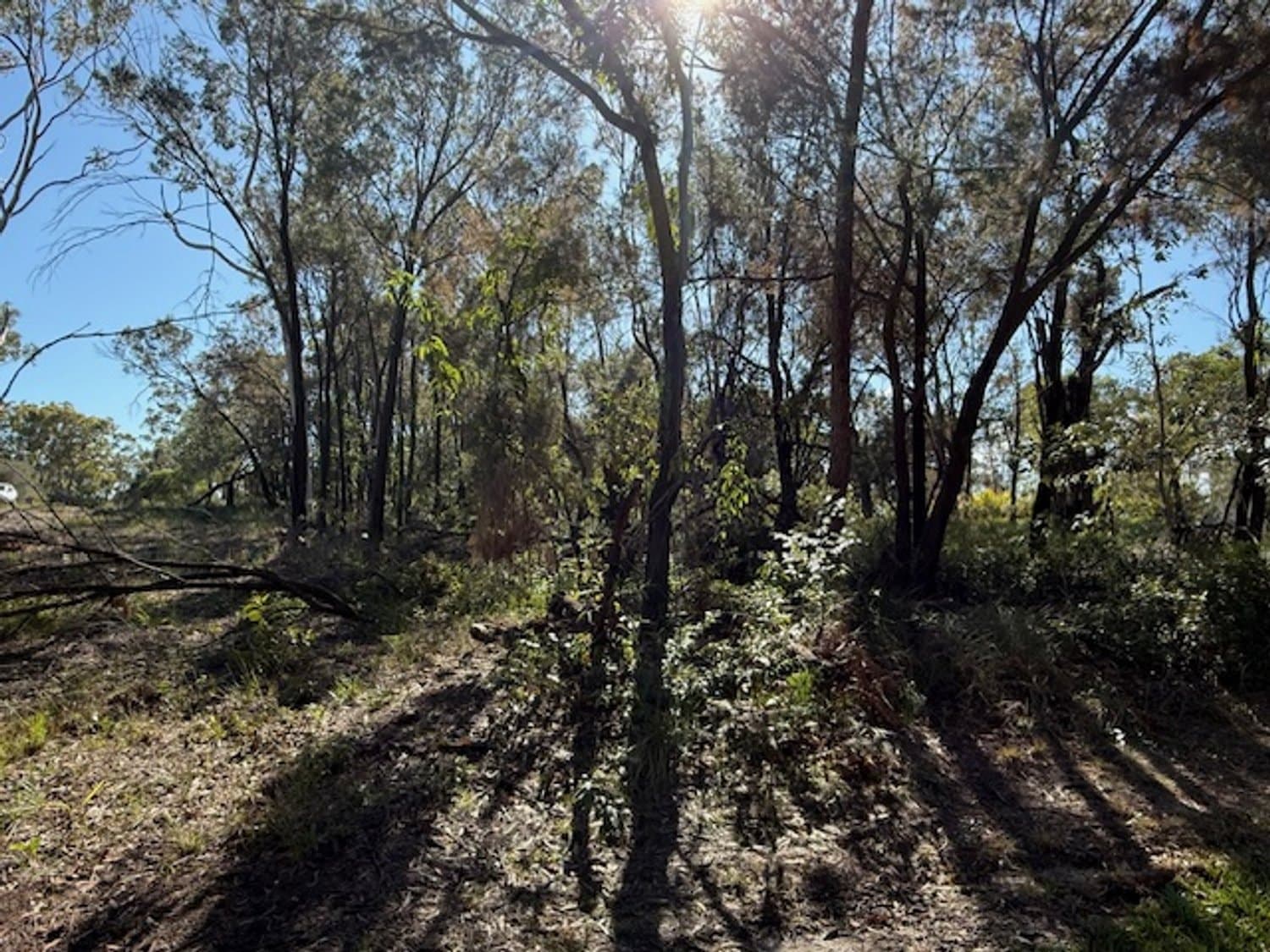 17 Cathy Street, Macleay Island QLD 4184, Macleay Island - Image 1