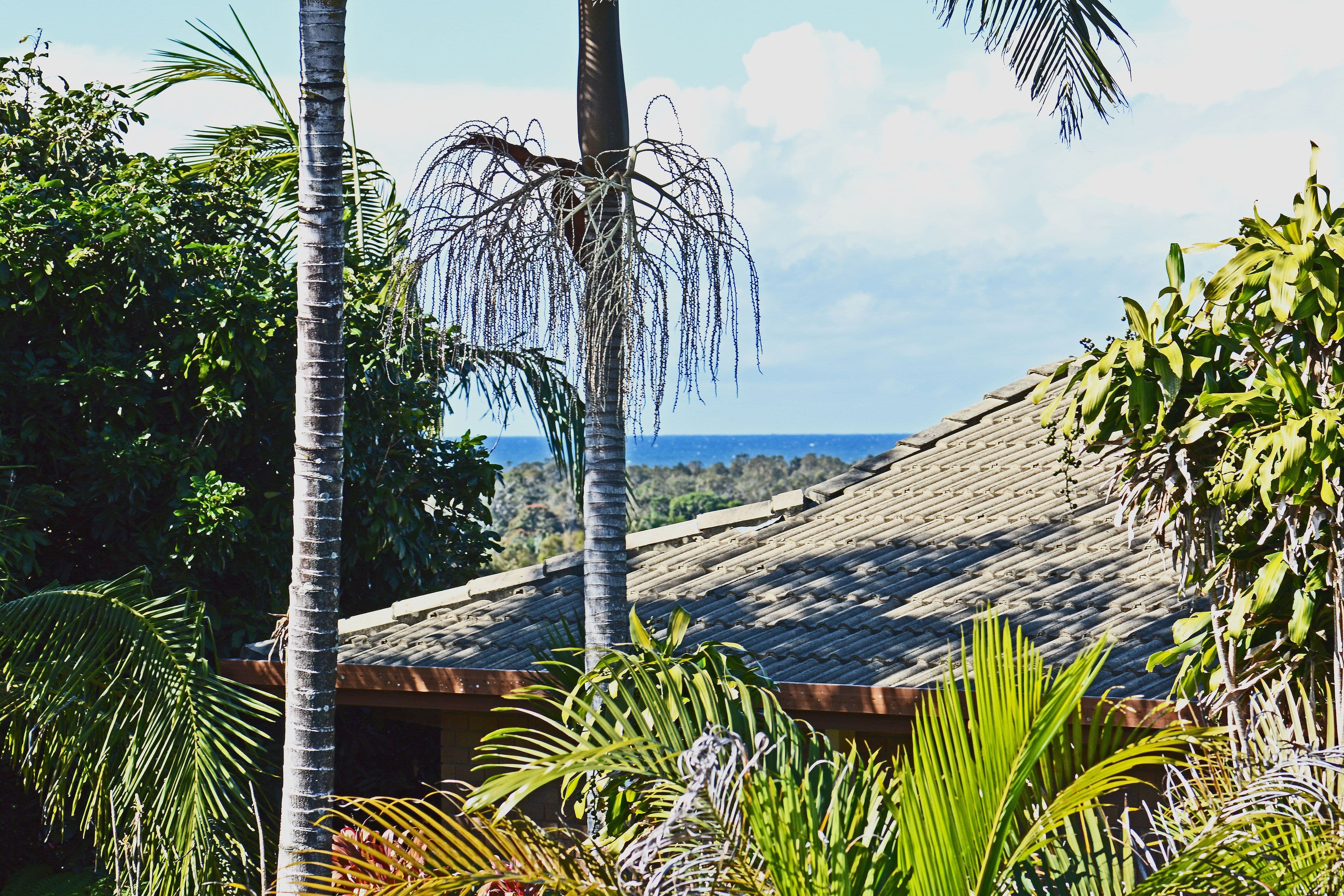 46 Martinelli Avenue, Banora Point - Thumbnail 2