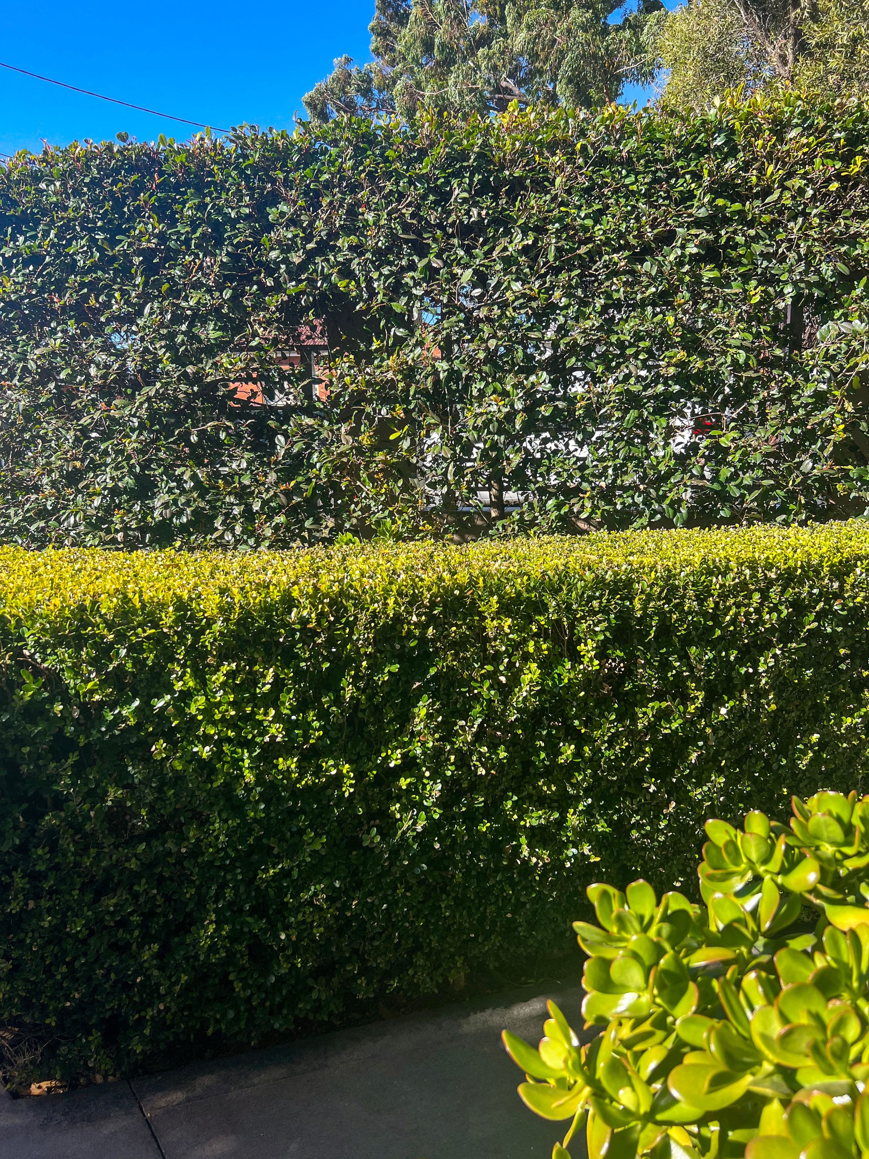 1 Argyle Street, Penshurst NSW 2222, Penshurst - Thumbnail 3