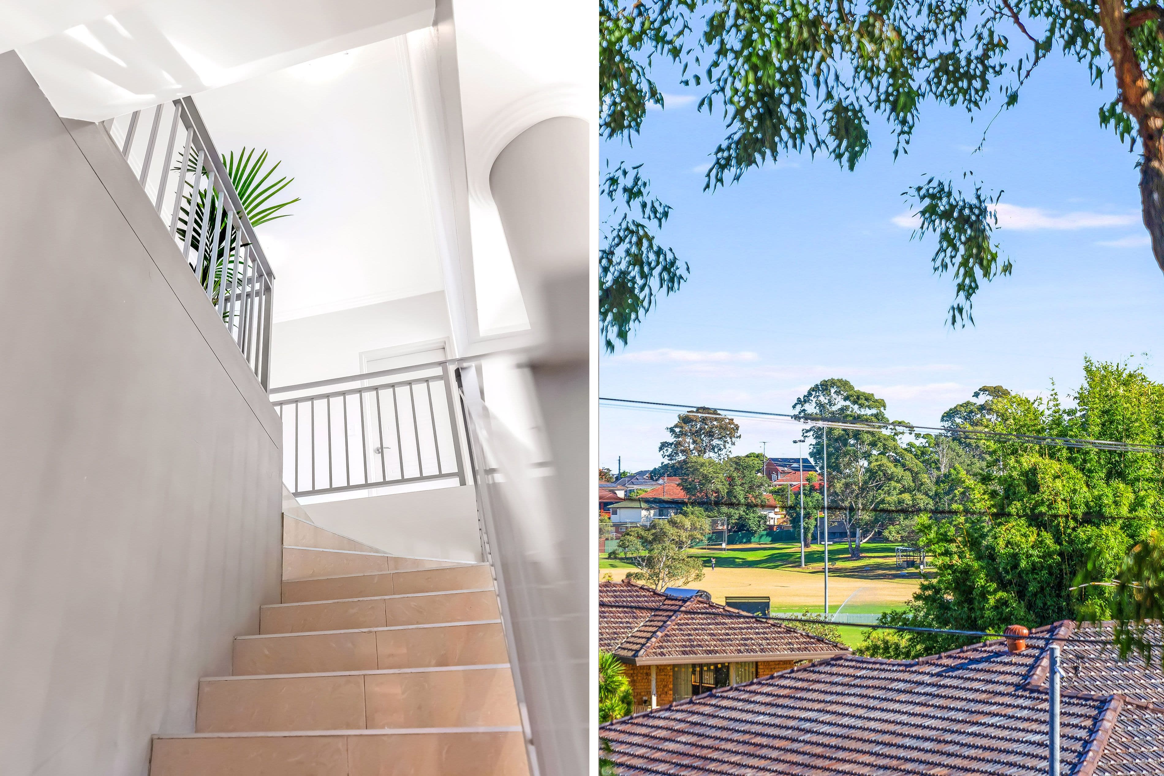 1 Argyle Street, Penshurst NSW 2222, Penshurst - Thumbnail 6