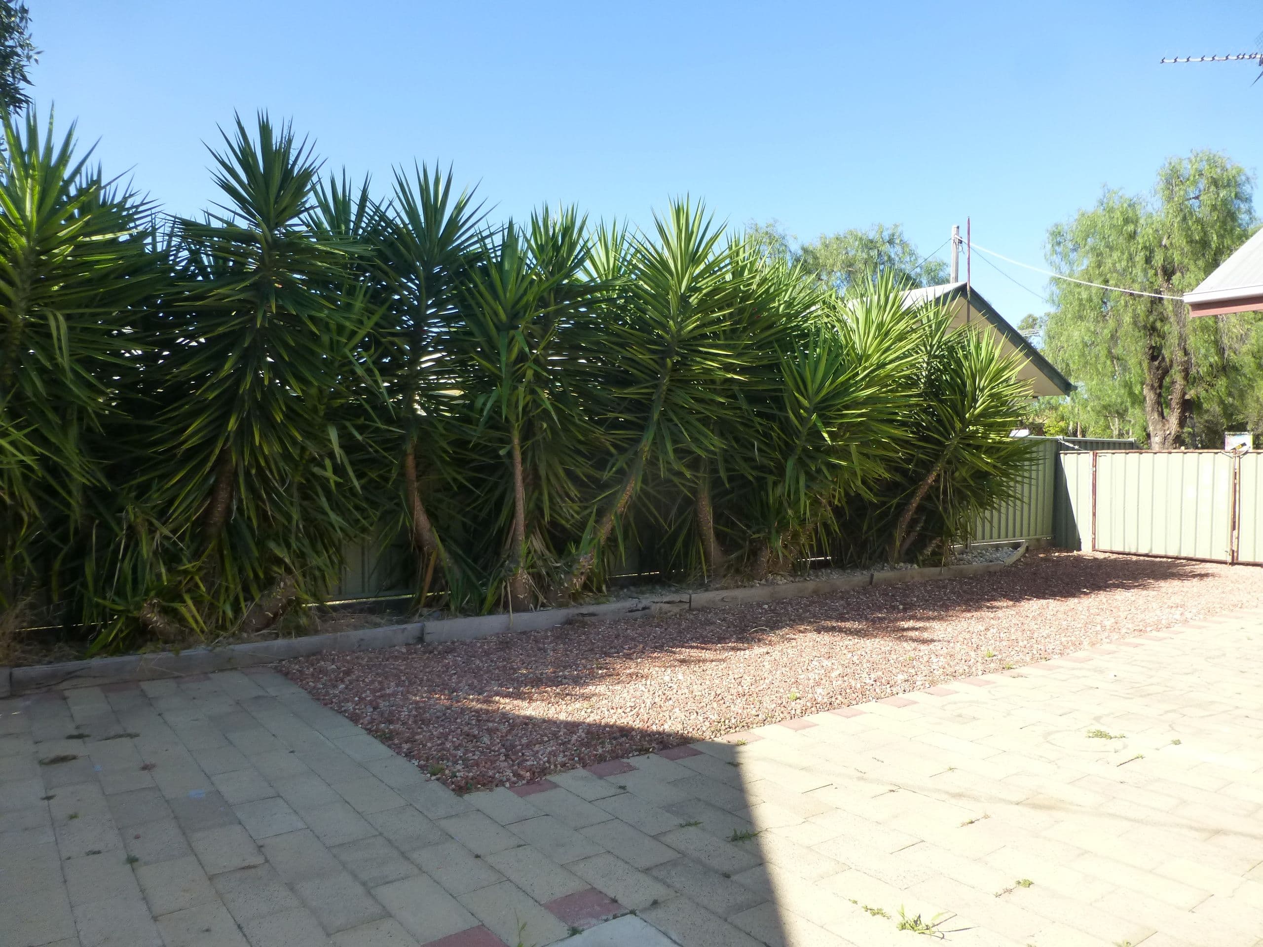 124 Sutton Street, Echuca VIC 3564, Echuca - Thumbnail 6