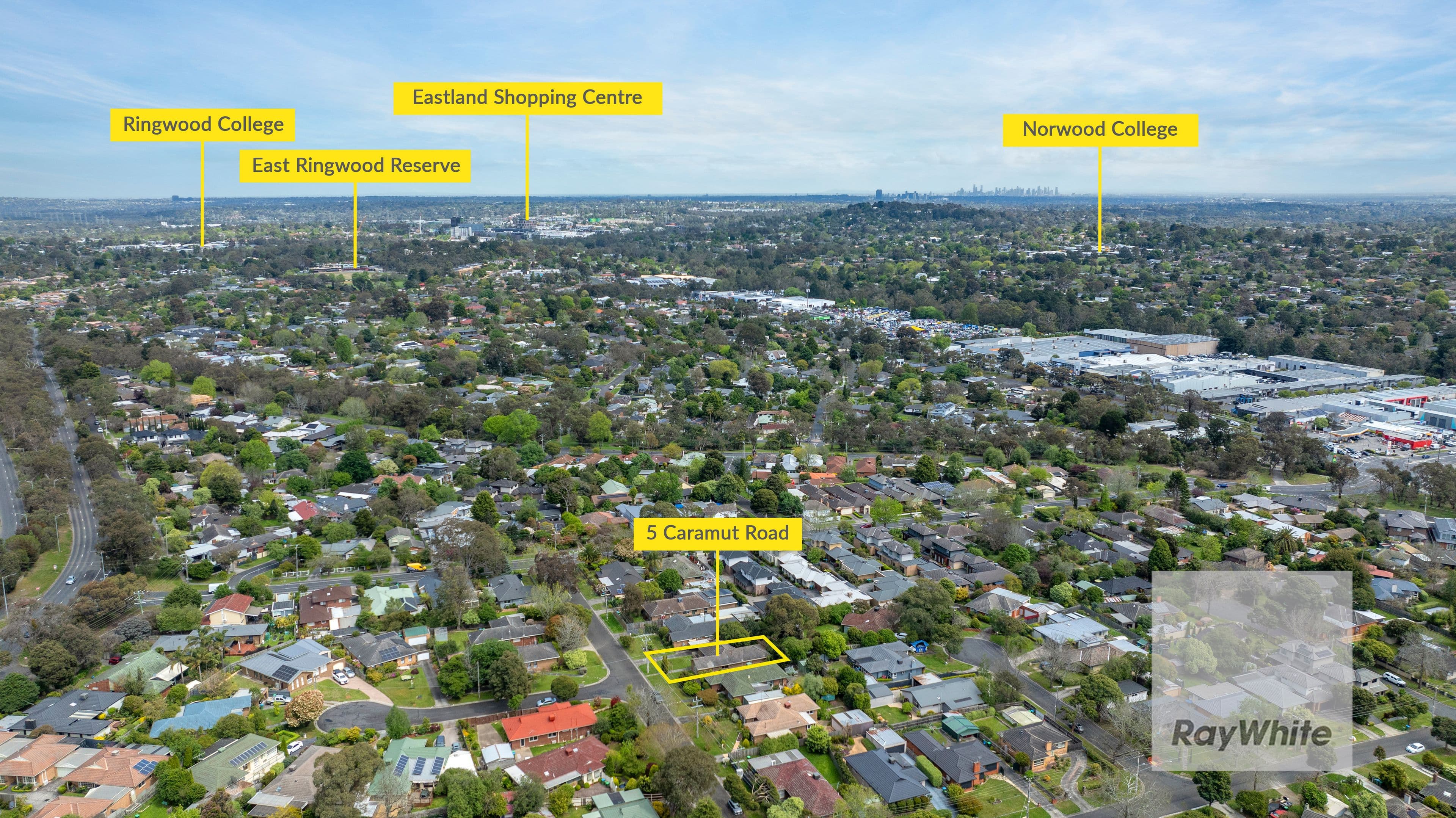 5 Caramut Road, Ringwood East VIC 3135, Ringwood East - Thumbnail 5