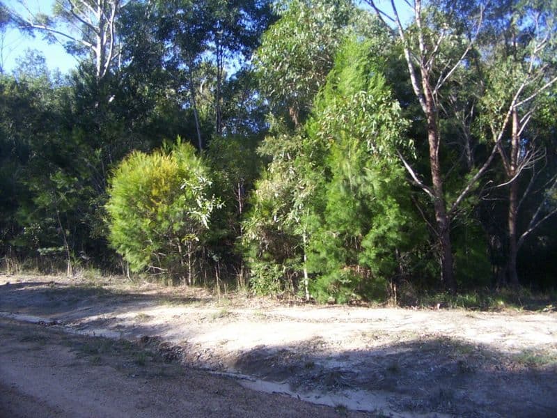 11 Catamaran Street, RUSSELL ISLAND QLD 4184, Russell Island - Image 1