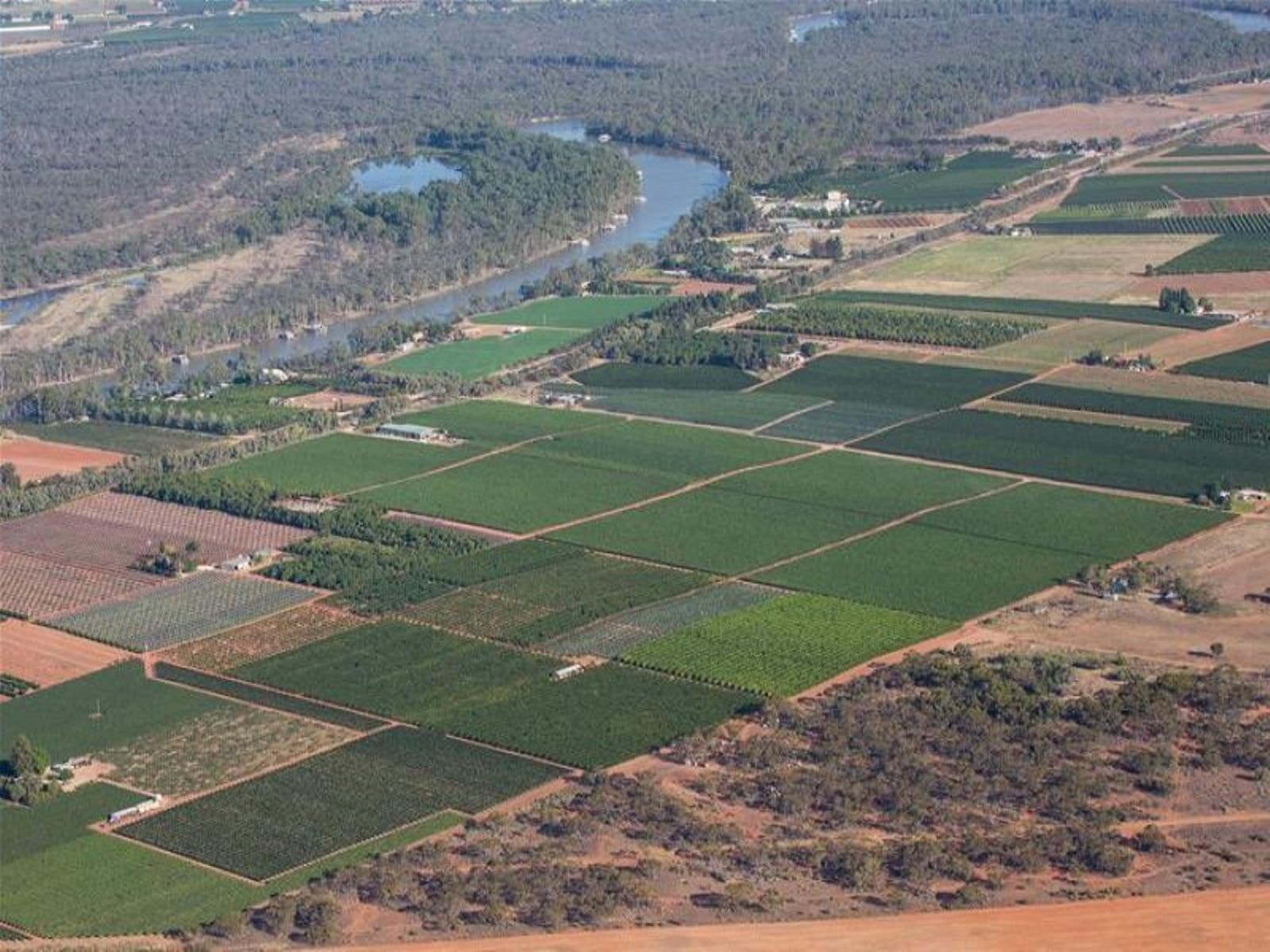 6 Sturt Highway, Trentham Cliffs - Thumbnail 7