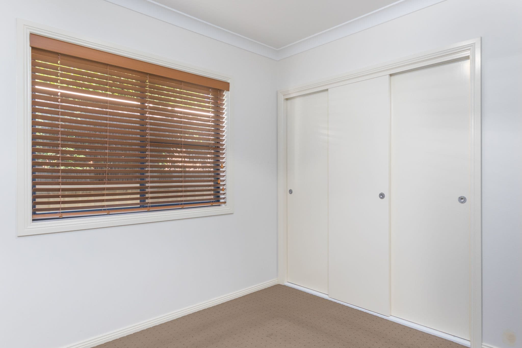 11 Edgeroy Street, Tamworth NSW 2340, Tamworth - Thumbnail 5