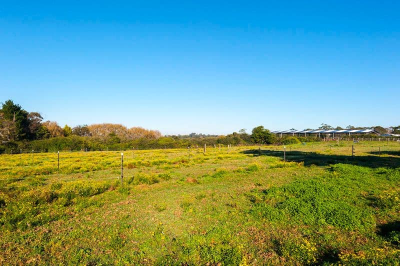 85 Booralie Road, TERREY HILLS NSW 2084, Terrey Hills - Thumbnail 2