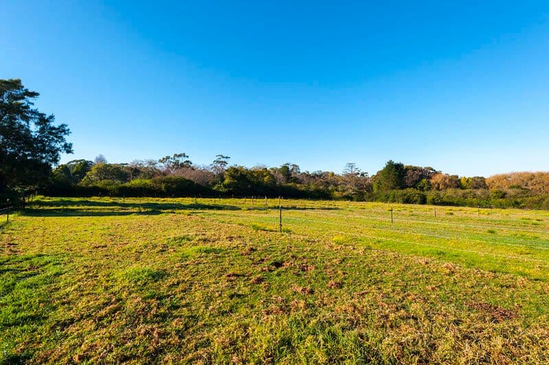 85 Booralie Road, TERREY HILLS NSW 2084, Terrey Hills - Thumbnail 4