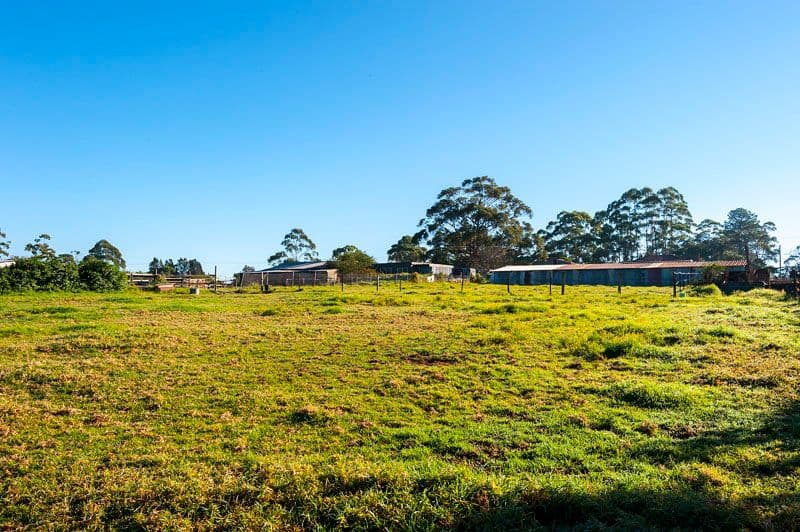 85 Booralie Road, TERREY HILLS NSW 2084, Terrey Hills - Thumbnail 5