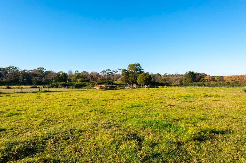 85 Booralie Road, TERREY HILLS NSW 2084, Terrey Hills - Thumbnail 6