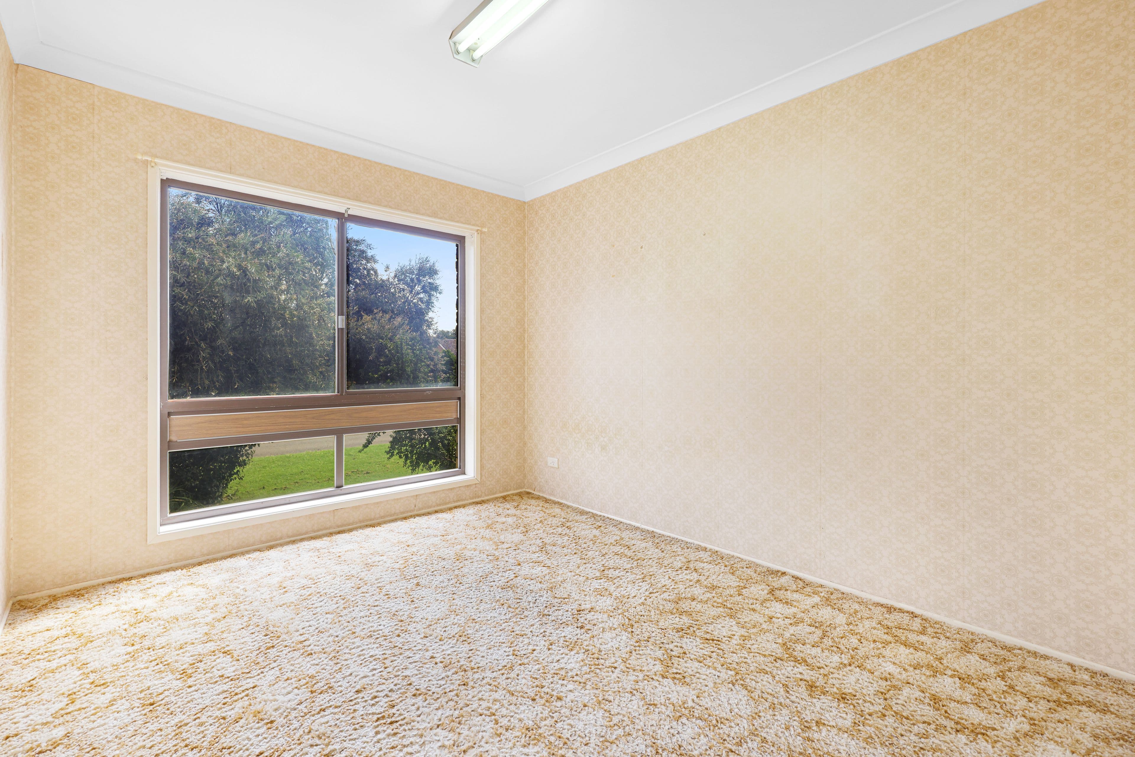 3 Grass Lane, Greenbank QLD 4124, Greenbank - Thumbnail 6