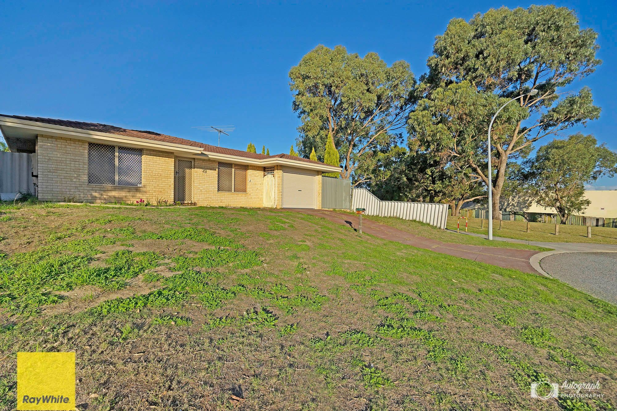 29 Firethorn Retreat, Mirrabooka WA 6061, Mirrabooka - Thumbnail 2