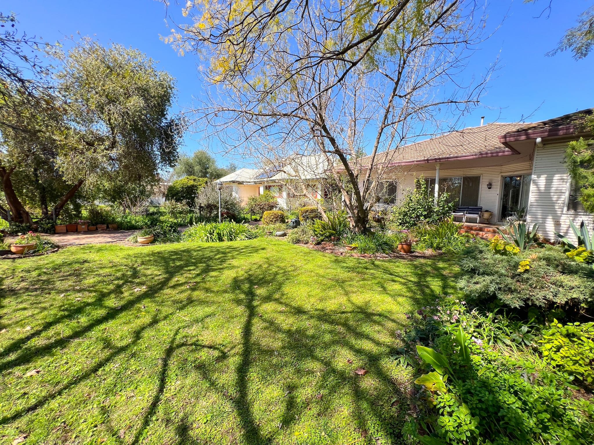 8 Woodland Street, Ungarie NSW 2669, Ungarie - Thumbnail 2