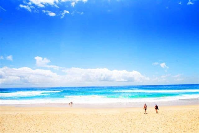 54 Oceanic Drive, WARANA QLD 4575, Warana - Thumbnail 5