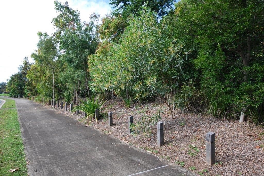 18 Ulladulla Street, BLACKS BEACH QLD 4740, Blacks Beach - Thumbnail 3