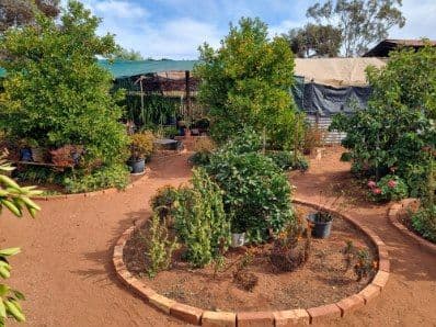 46 Dickenson Street, IRON KNOB SA 5611, Iron Knob - Thumbnail 6