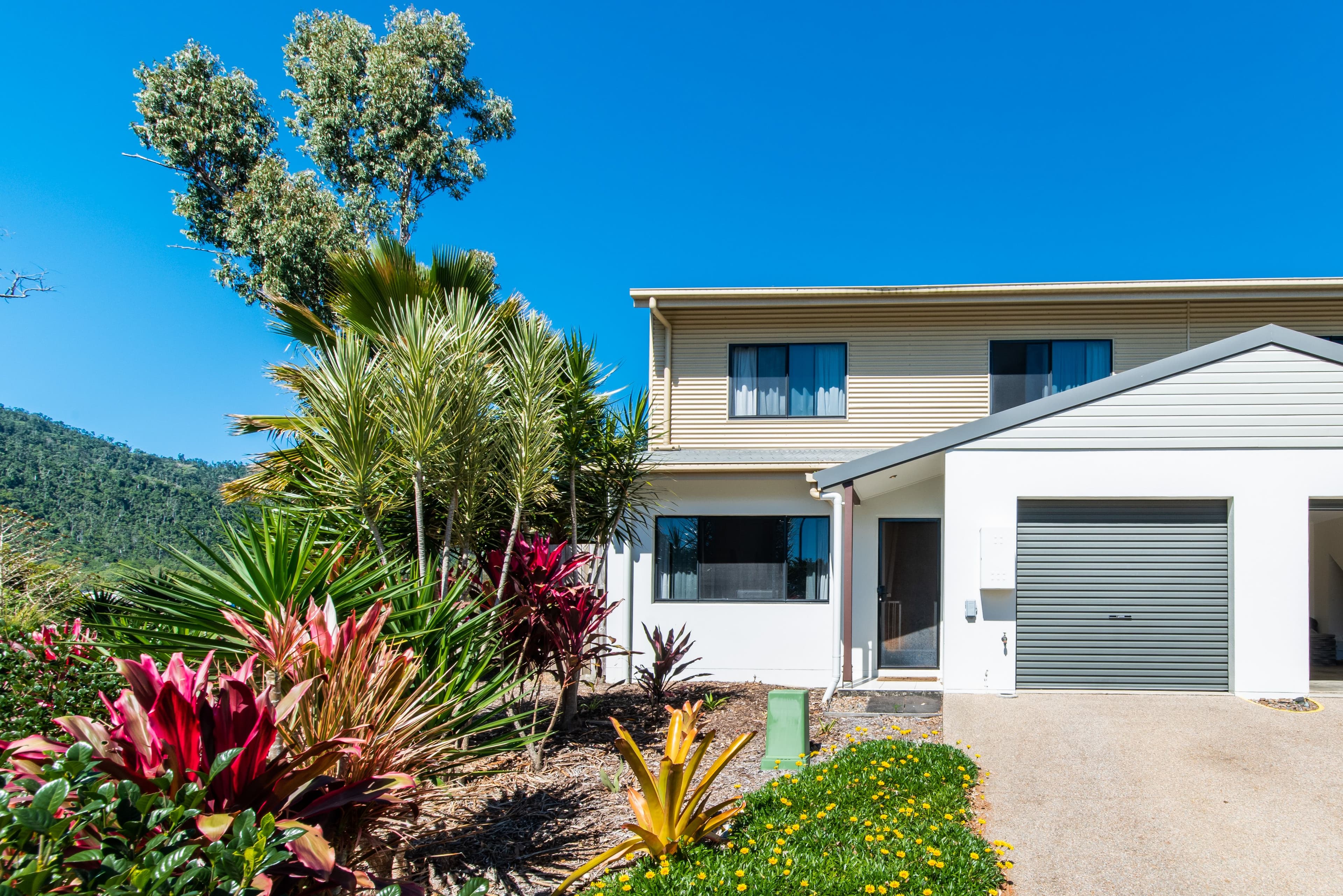 25 Abell Road, Cannonvale QLD 4802, Cannonvale - Thumbnail 2