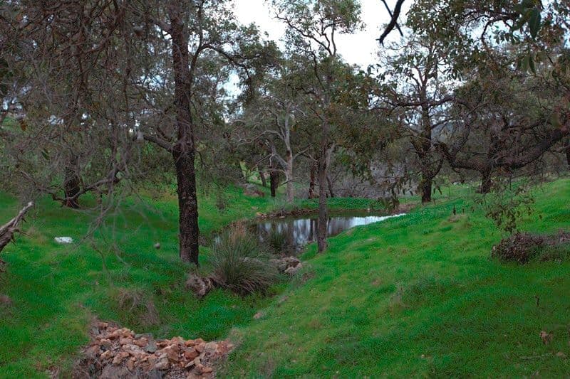 318 Clarkson Road, BULLSBROOK WA 6084, Bullsbrook - Thumbnail 3