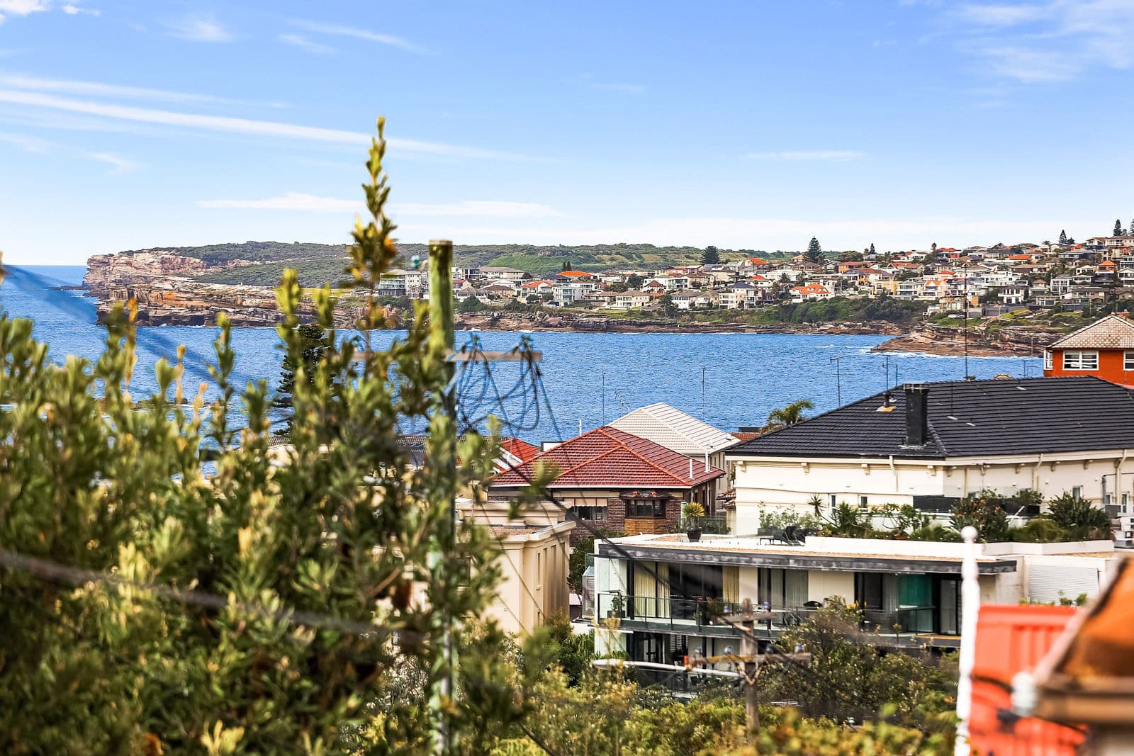 22 Blackwood Avenue, Clovelly NSW 2031, Clovelly - Thumbnail 3