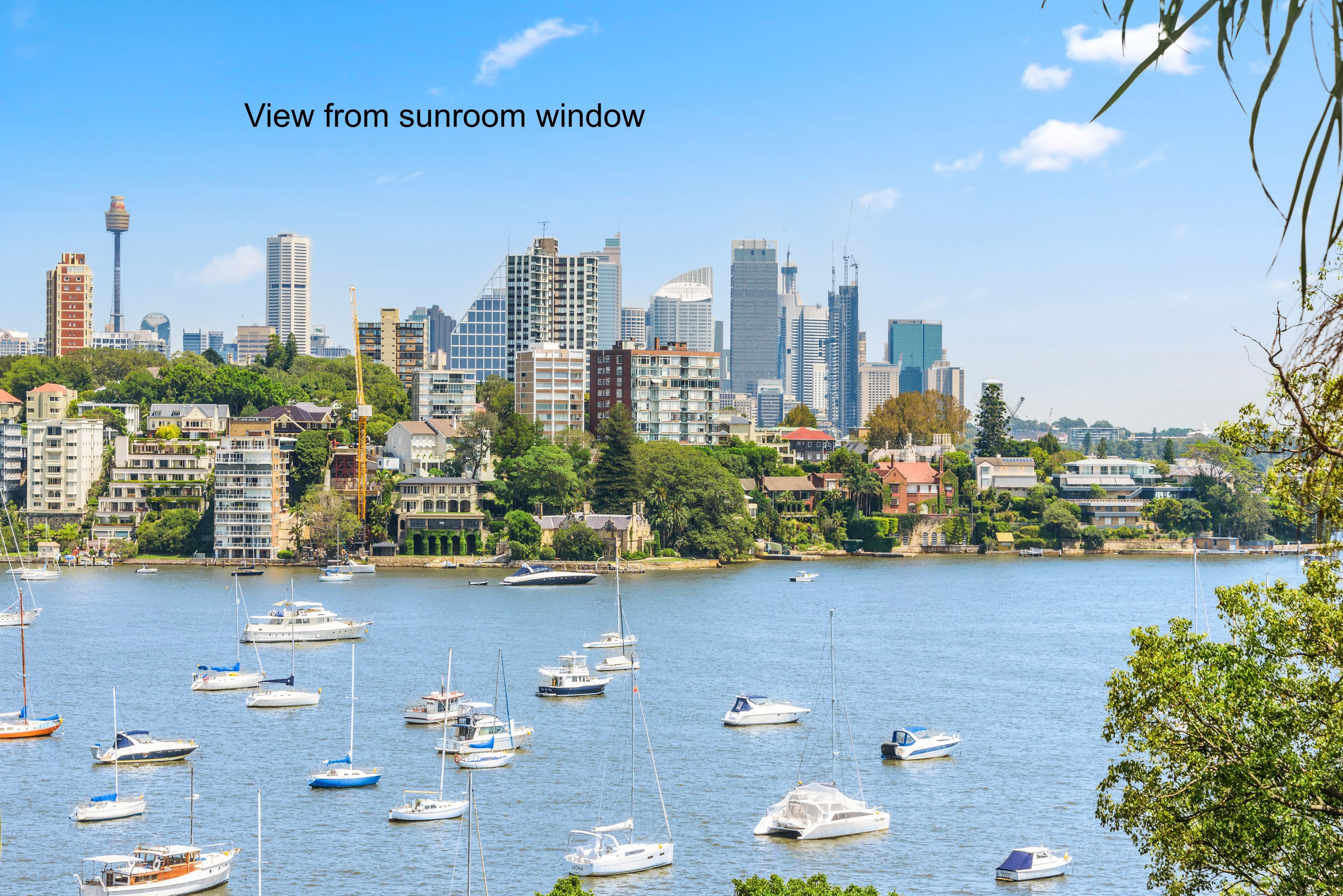 16-18 Wolseley Road, Point Piper NSW 2027, Point Piper - Thumbnail 8