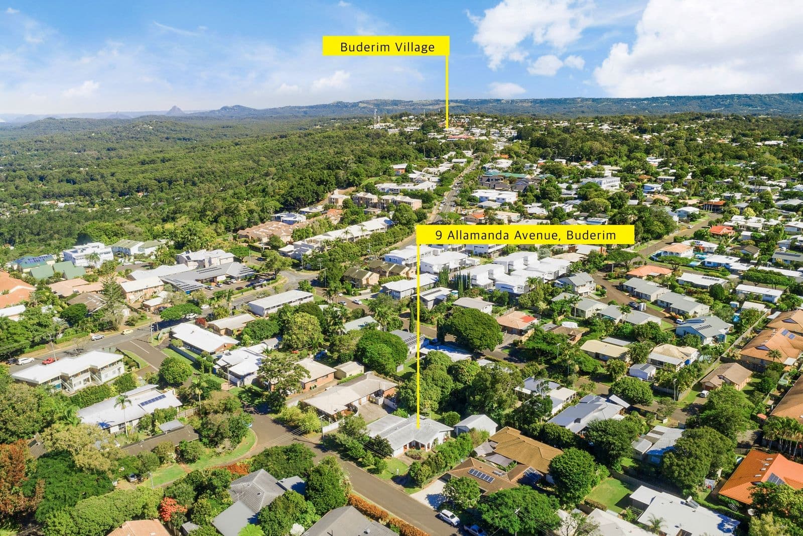 9 Allamanda Avenue, Buderim QLD 4556, Buderim - Thumbnail 2