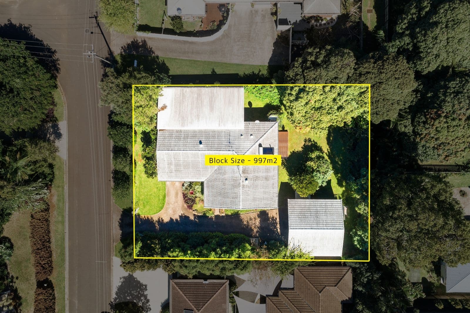 9 Allamanda Avenue, Buderim QLD 4556, Buderim - Thumbnail 4