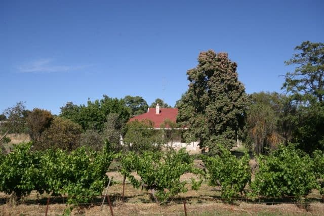 Lots 91 - 100 Main North Road, LEASINGHAM SA 5452, Leasingham - Image 1