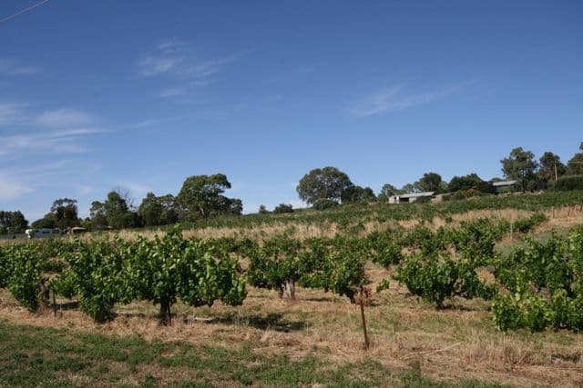 Lots 91 - 100 Main North Road, LEASINGHAM SA 5452, Leasingham - Thumbnail 2