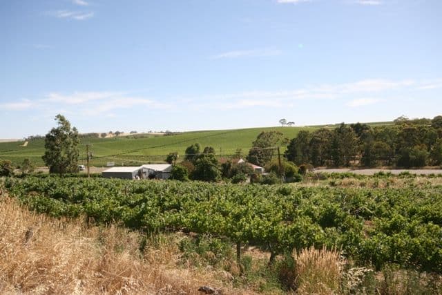 Lots 91 - 100 Main North Road, LEASINGHAM SA 5452, Leasingham - Thumbnail 3