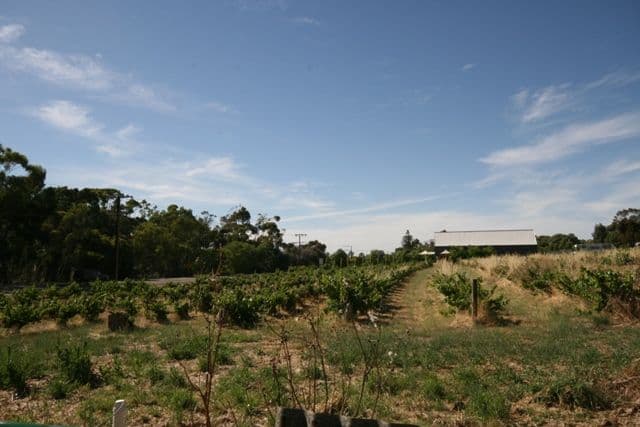 Lots 91 - 100 Main North Road, LEASINGHAM SA 5452, Leasingham - Thumbnail 4