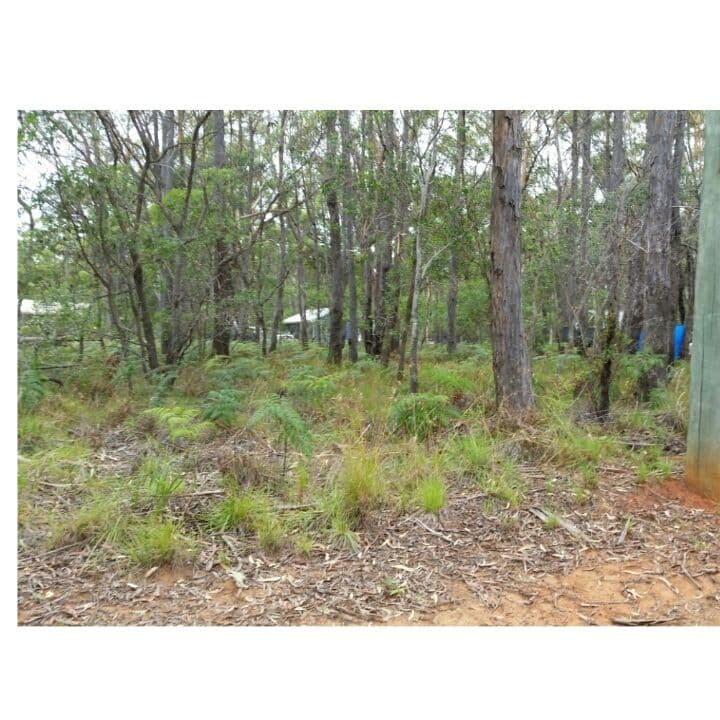 35 Fernando Road, Russell Island QLD 4184, Russell Island - Thumbnail 2