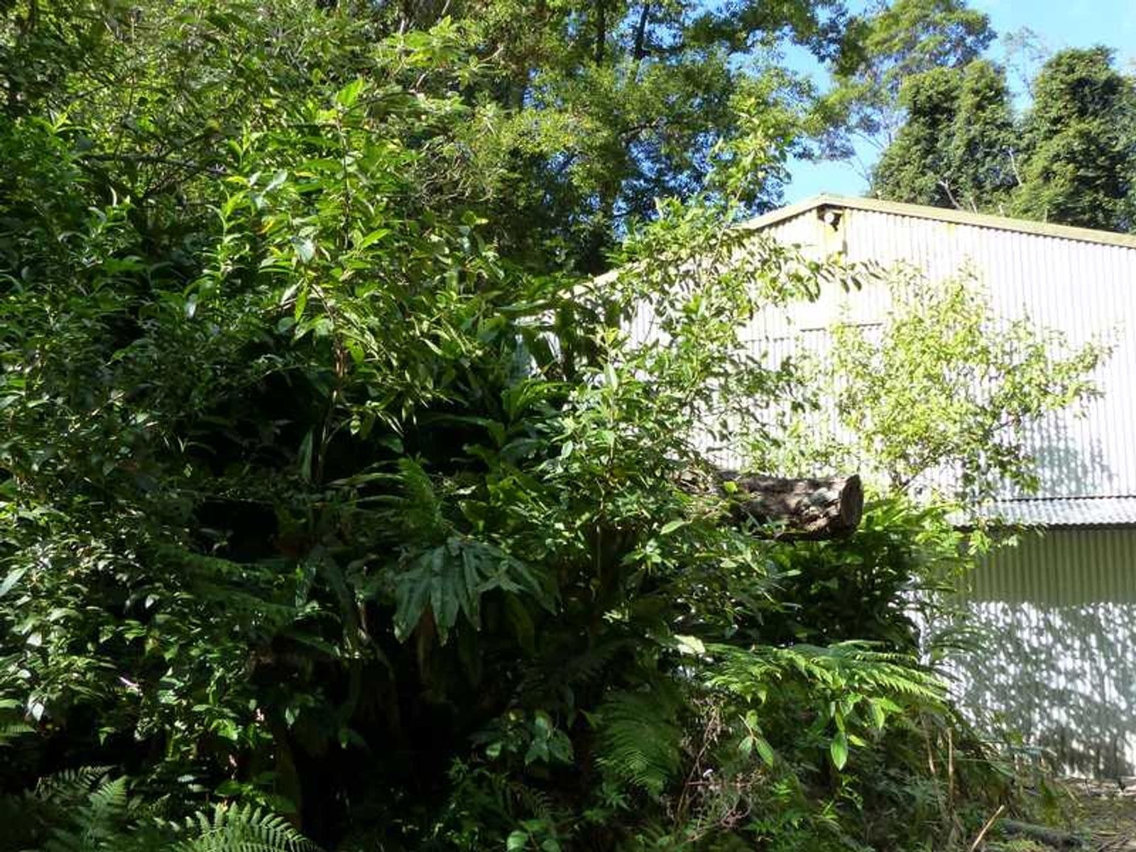 1/114 Maso Road, Rosebank - Thumbnail 7