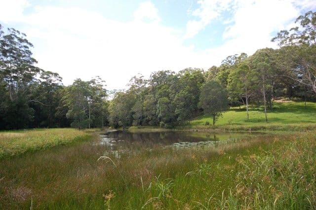 262a Sunrise Road, DOONAN QLD 4562, Doonan - Thumbnail 6