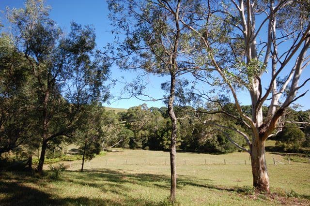 262a Sunrise Road, DOONAN QLD 4562, Doonan - Thumbnail 7
