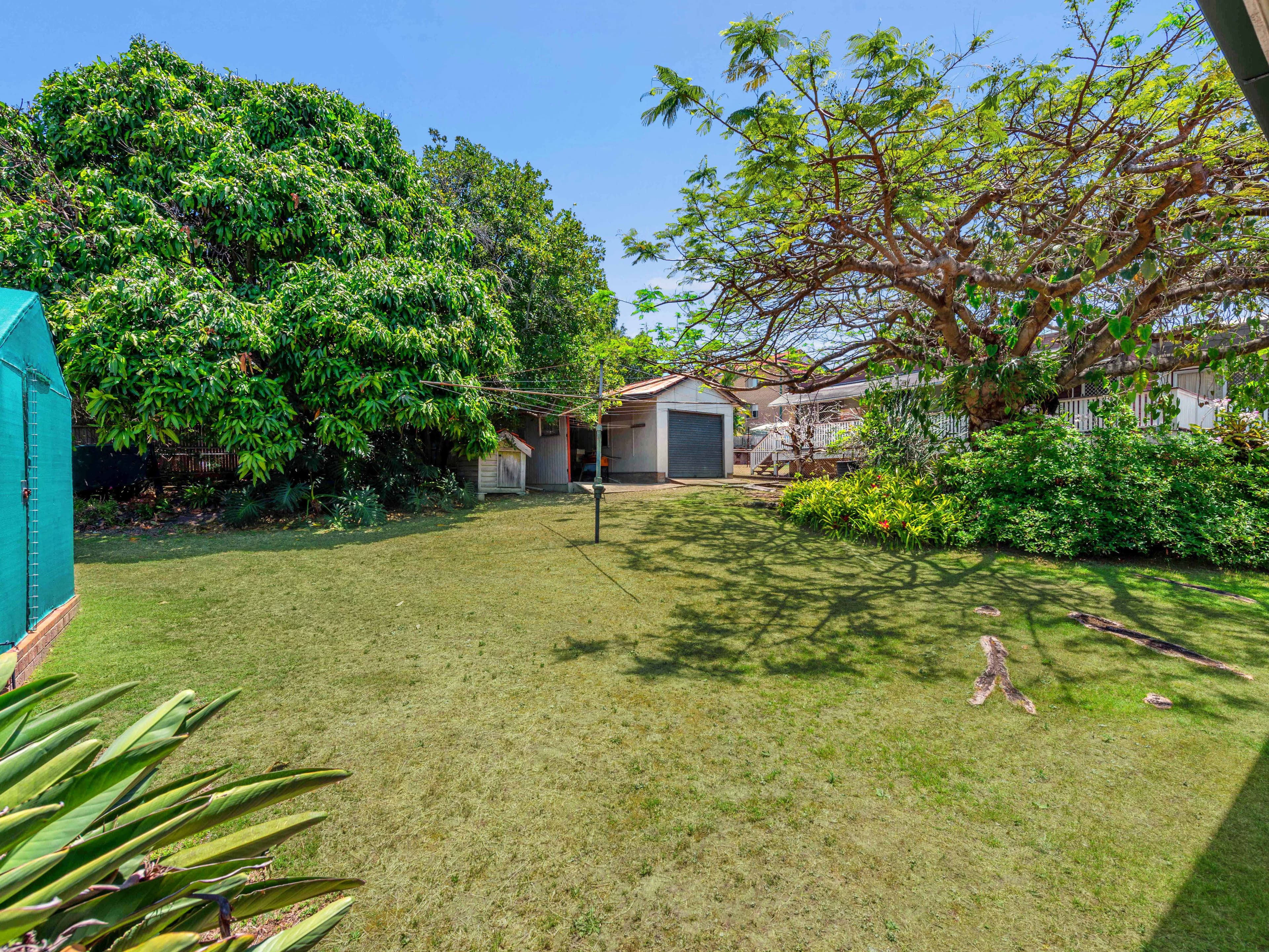 56 Buller Street, Everton Park QLD 4053, Everton Park - Thumbnail 6