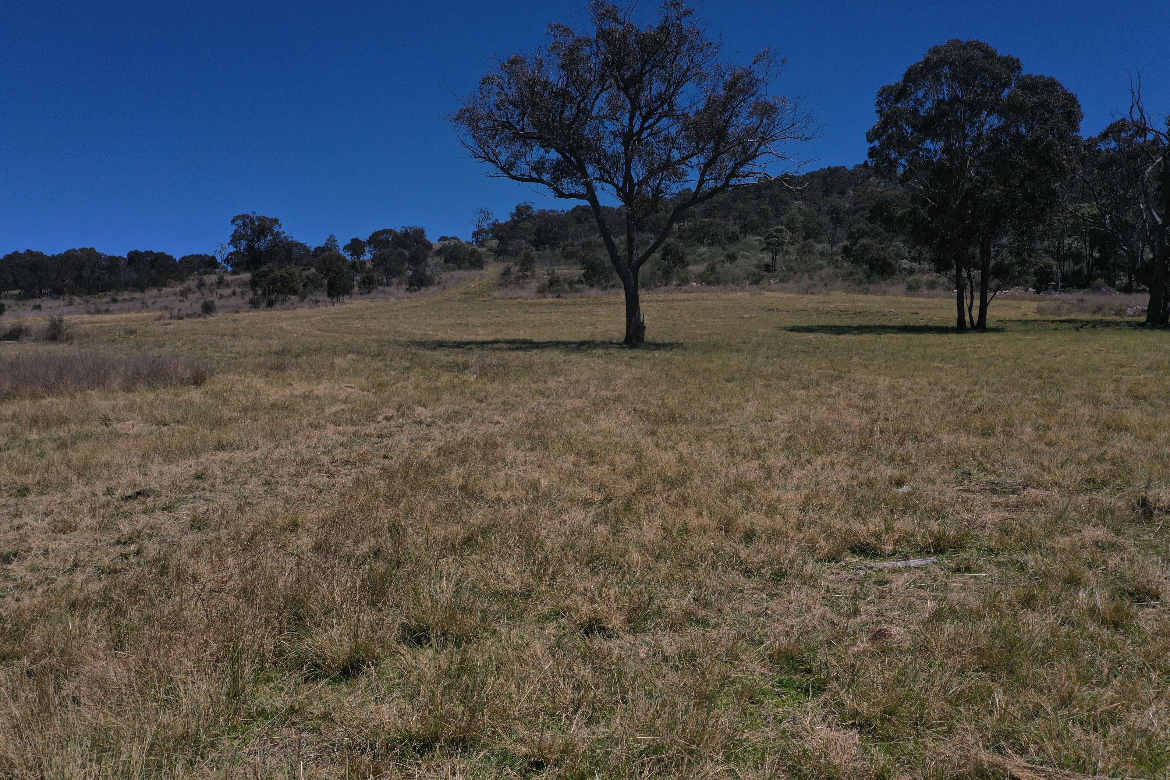 380 Dalcouth Road, Dalcouth QLD 4380, Dalcouth - Thumbnail 3