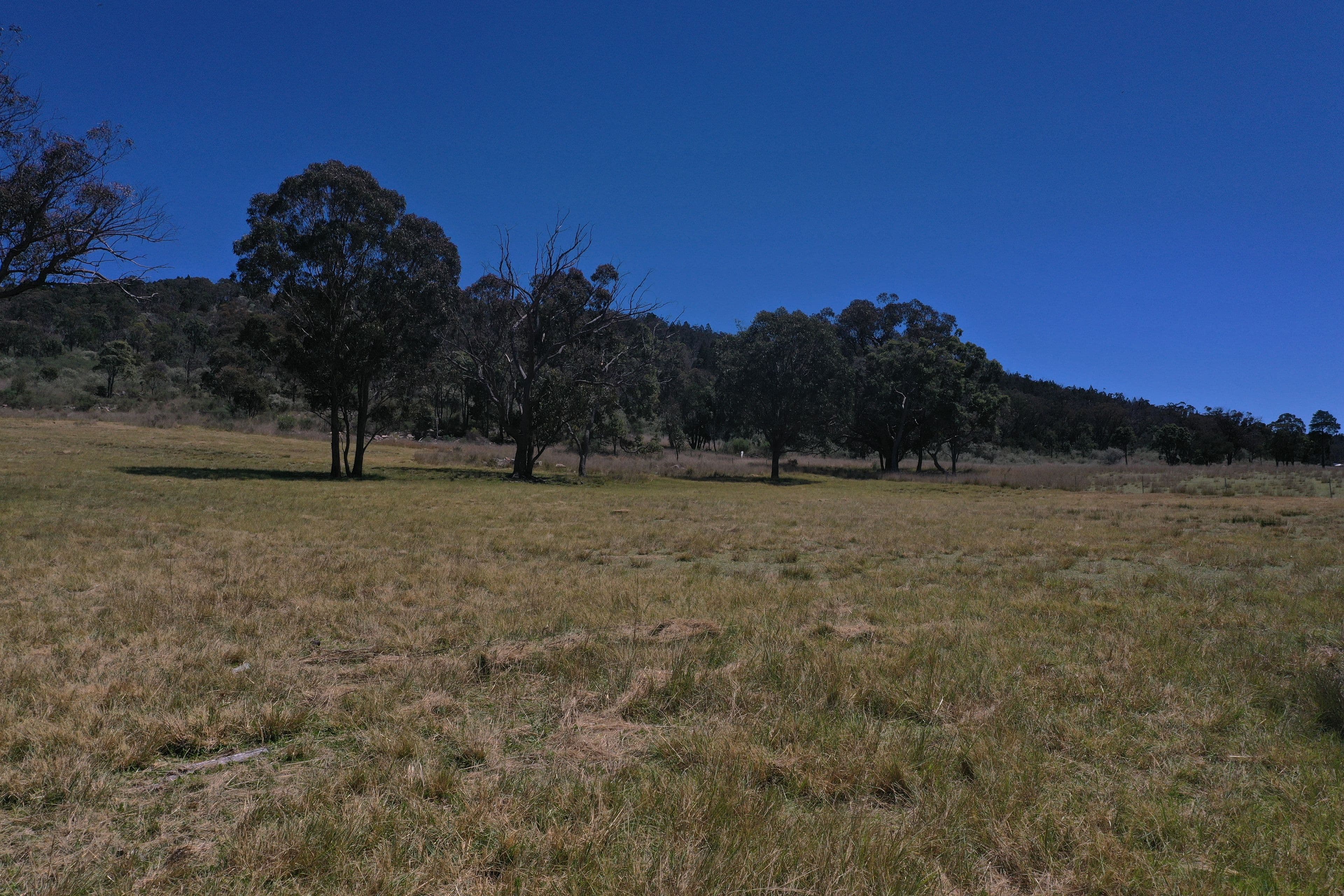 380 Dalcouth Road, Dalcouth QLD 4380, Dalcouth - Thumbnail 8