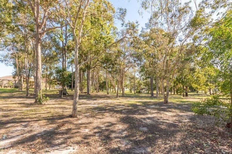 59 Centaur Street, Kippa-Ring QLD 4021, Kippa-Ring - Thumbnail 3