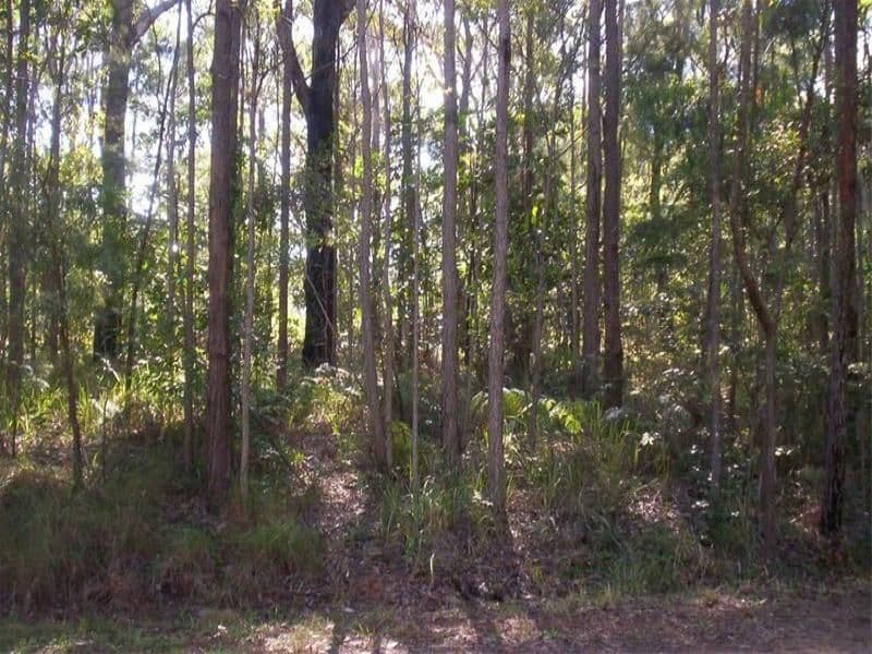 25-27 Dempsey Street, RUSSELL ISLAND QLD 4184, Russell Island - Thumbnail 2